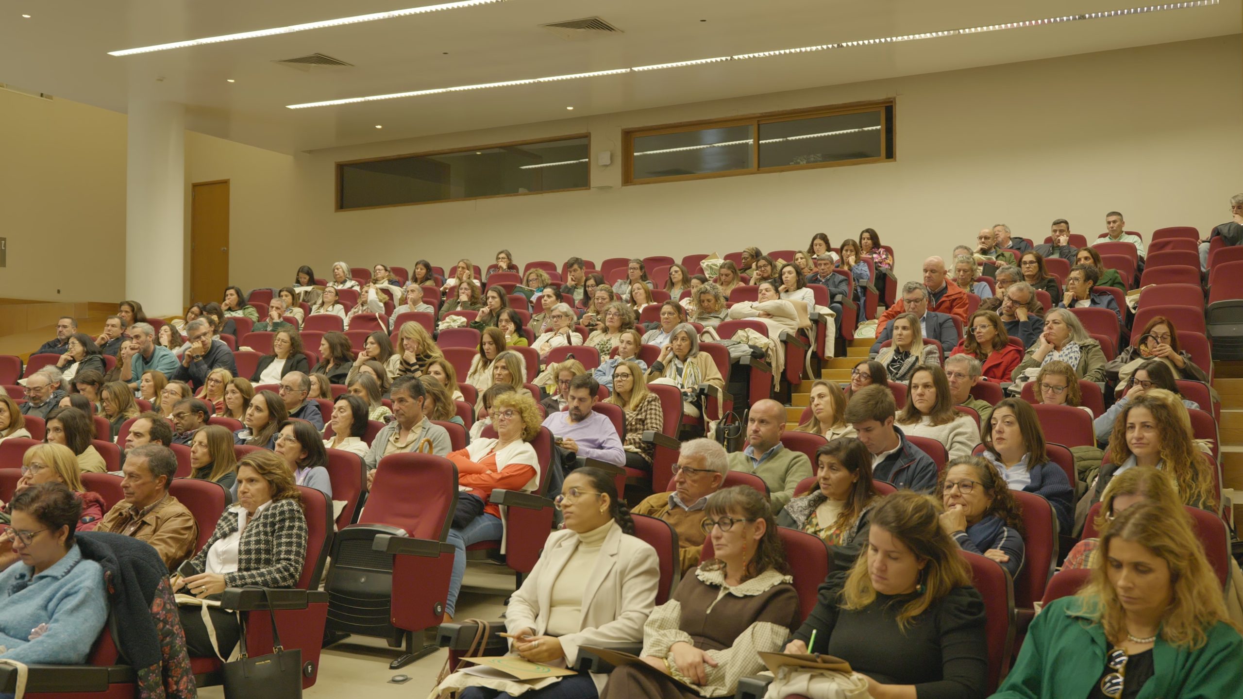 Plano Local de Saúde do Baixo Alentejo 2030 foi apresentado oficialmente
