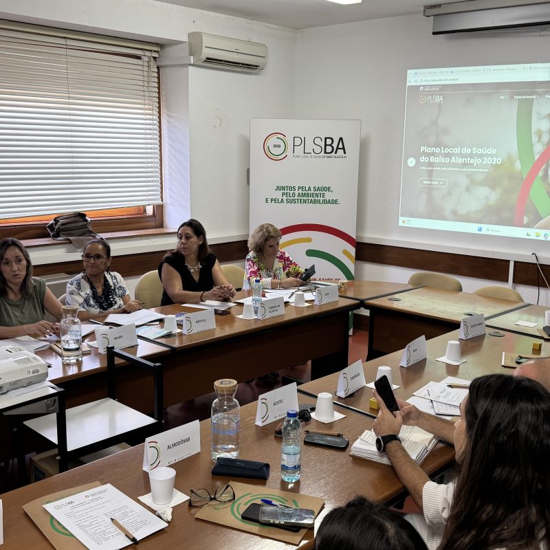 primeira reunião entre a Equipa Coordenadora de Execução do PLSBA 2030 e os/as Interlocutores/as Municipais dos municípios do Baixo Alentejo